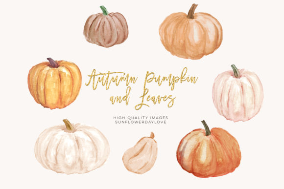 Autumn Pumpkin Watercolor Clipart: A Designer’s Review for Branding & Marketing Use