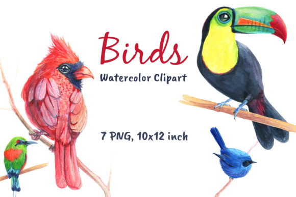 Birds Watercolor Cardinal Clip Art for Branding & Marketing Visuals