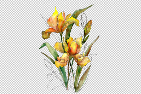 Bouquet of Yellow Irises Watercolor Set Review
