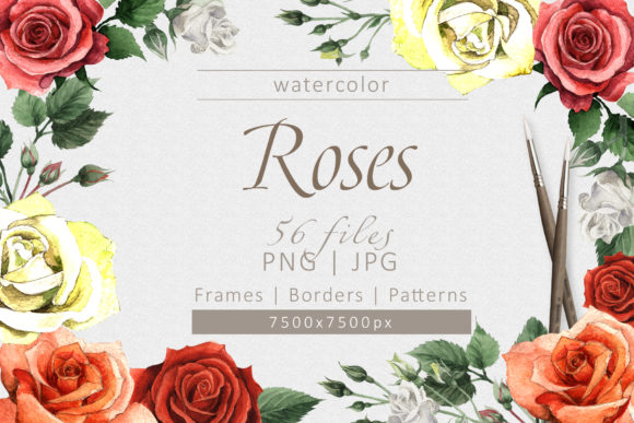 Colorful Roses Watercolor Set: Illustrations Review