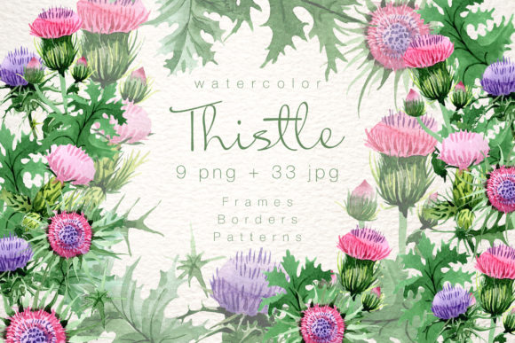 Cool Thistle Watercolor Set Illustrations