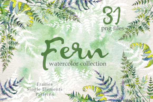 Fern Watercolor: A Designer's Real-World Review