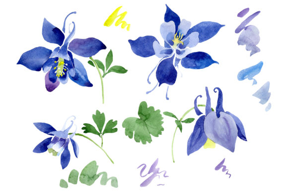 Flowers Set Watercolor Illustrations Review