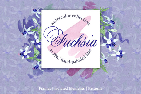 Fuchsia Blue Watercolor Illustrations Review