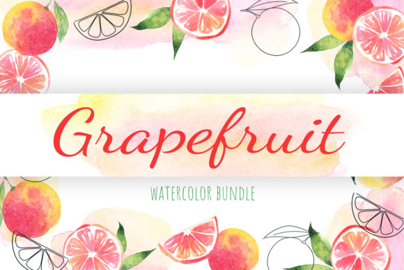 Grapefruit Watercolor Clipart & Illustrations