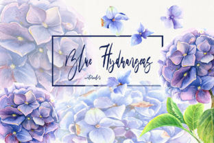 h1Watercolor Blue Hydrangeas Clip Art for Creative Sellers/h1