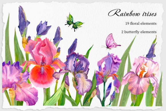 Irises Watercolor Clipart Flower: A Versatile Illustration for Bloggers and Publishers