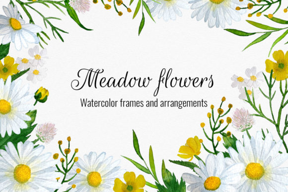 Meadow Flowers Watercolor Cliparts, Bouq & Illustrations for Branding
