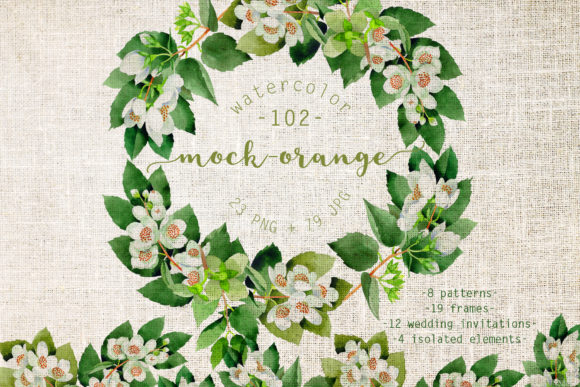 Mock-orange Watercolor Set: A Designer's Review