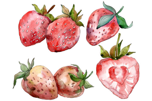 Strawberry Red Watercolor Illustrations