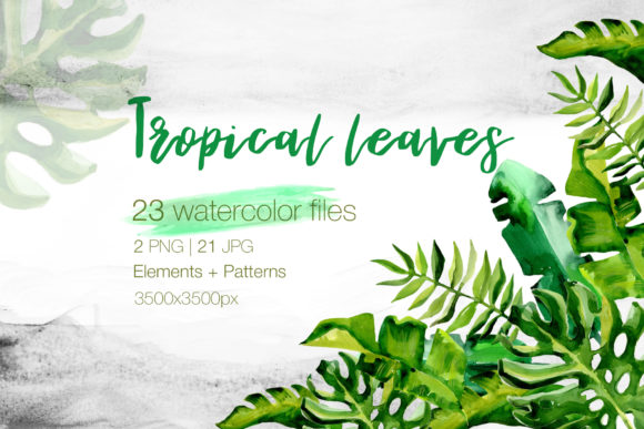 Succulent Tropical Leaves Watercolor Set Illustrations