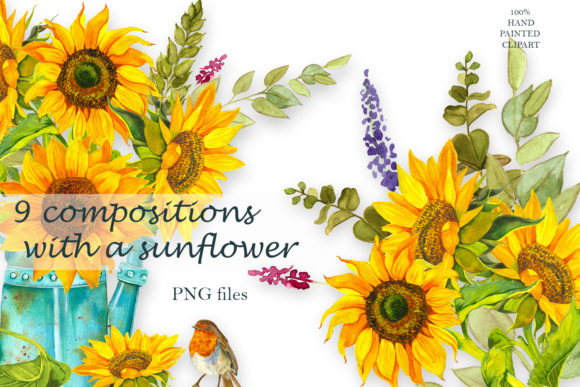 Sunflower Watercolor Clipart for Summer Boho Illustrations