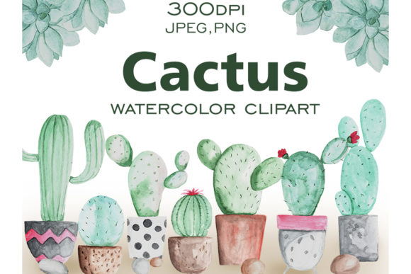 Watercolor Cactus Illustrations Collection for Blog & Editorial Design