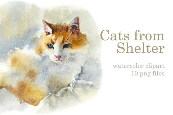Watercolor Cats from a Shelter: A Designer’s Real-World Embroidery Review