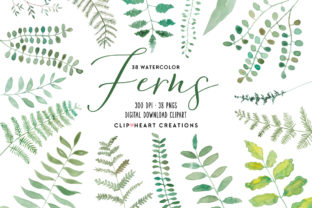 Watercolor Ferns Clipart: A Designer’s Real-World Review