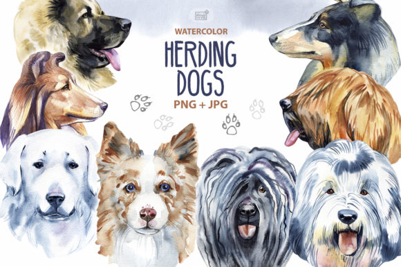 Watercolor Herding Dogs Illustrations: Rustic Charm for Brand Storytelling