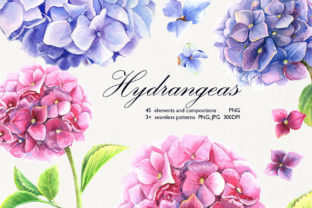 Watercolor Hydrangeas Illustrations: A Soft Touch for Branding and Marketing Visuals