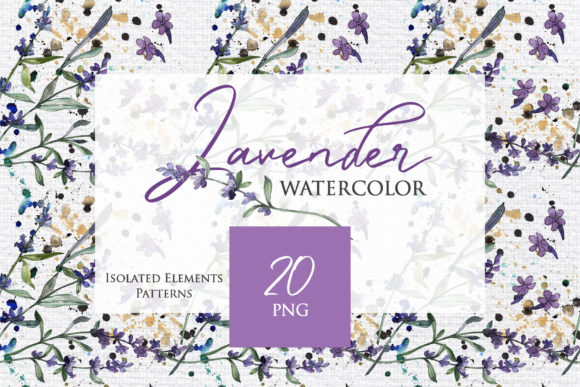 Watercolor Lavender Collection Illustrations Review