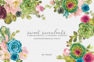 Watercolor Succulents Florals Illustrations: A Brand Designer’s Honest Review