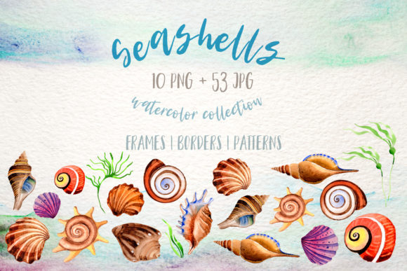 Watercolor Summer Beach Seashell Set & Illustrations