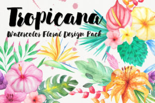 Watercolor Tropical Floral Pack: A Seller’s Review for Illustrations & Digital Products