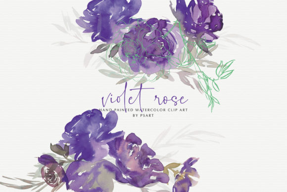 Watercolor Violet Rose Clipart Collection: A Designer’s Review for Brand & Marketing Use