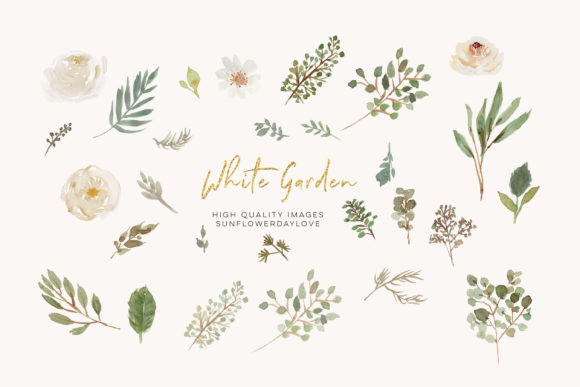 Watercolor White Flowers Clipart, Ivory: Elegant Illustrations for Blog & Editorial Design