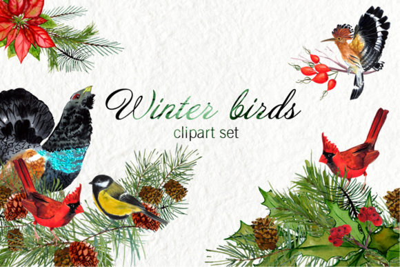 Watercolor Winter Birds: A Soft, Seasonal Illustration for Branding and Creative Design